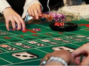 ayx大厅手机版登录入口2024最新版